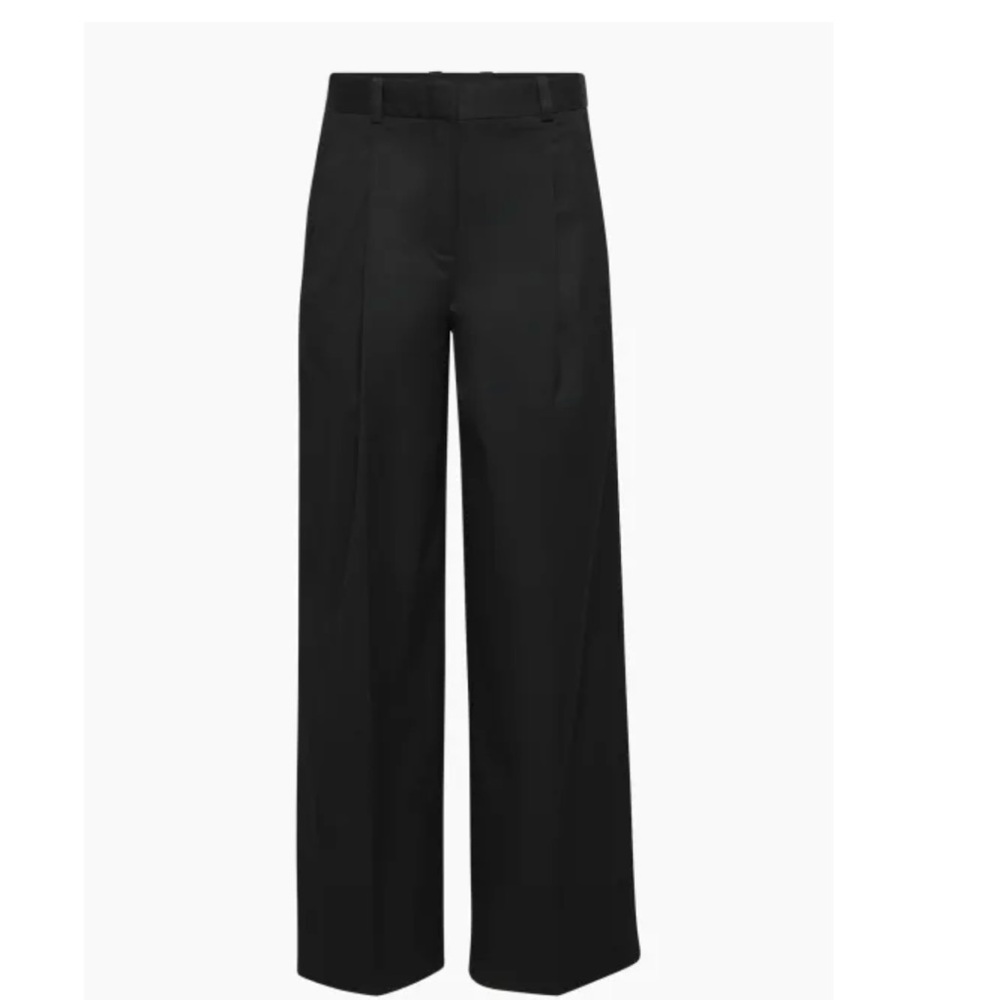 Aritzia wide leg pants babaton line inbound never worn just needs a steam